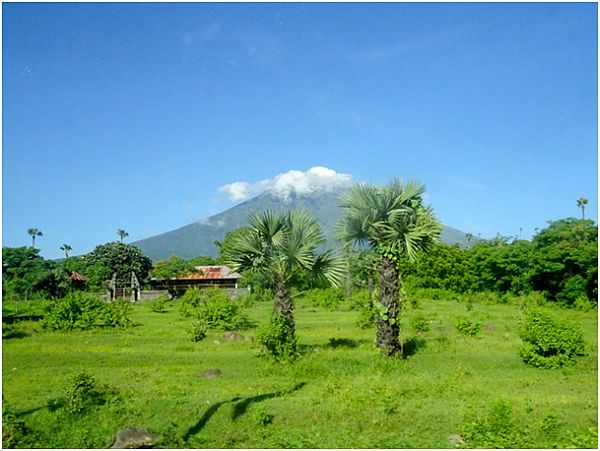 Widok na wulkan oraz bujną egzotyczną roślinność