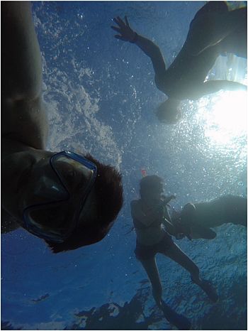 Zdjęcie podwodne przedstawiające trzy nurkujące osoby