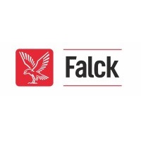 Logo Falck. Przejdź do strony