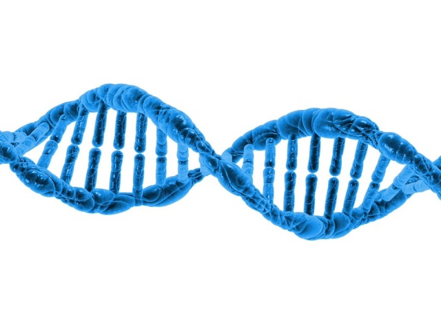 odcinek dna