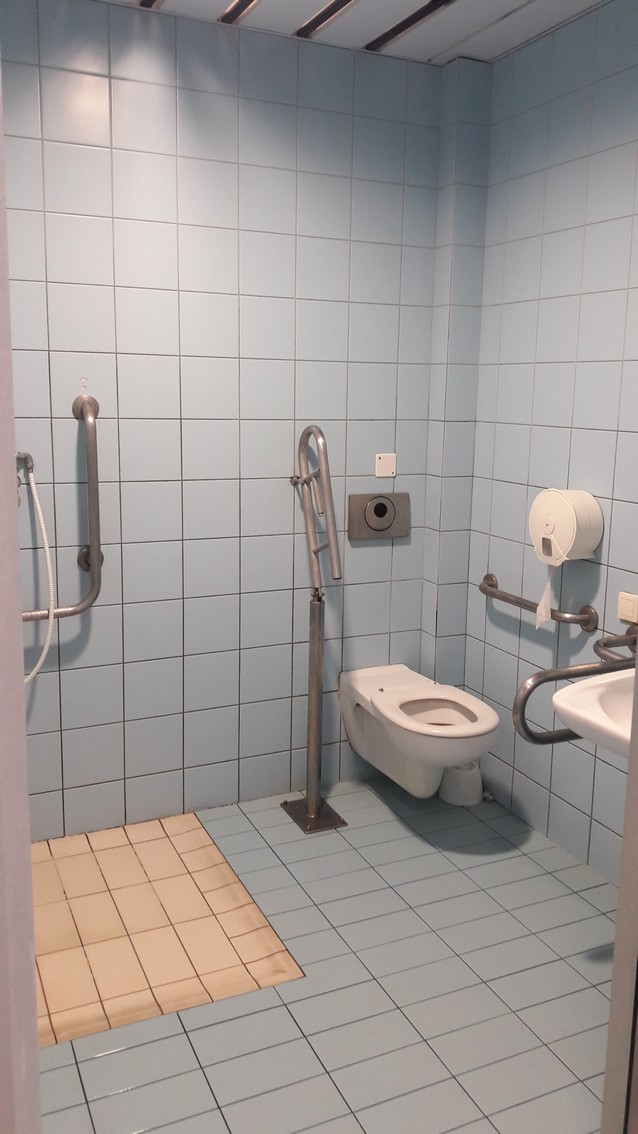 Wnętrze dostosowanej łazienki. Po prawej muszla ustępowa z poręczami, po lewej prysznic z uchwytem i lekko obniżonym brodzikiem