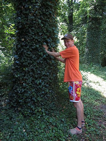 Młody mężczyzna opiera się obiema rękami o drzewo obrośnięte bluszczem