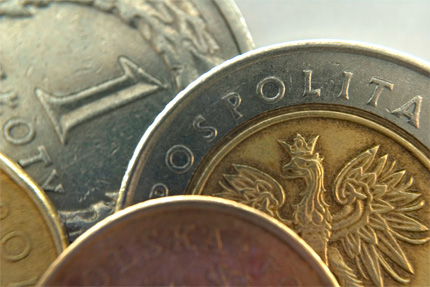 Zdjęcie polskich monet